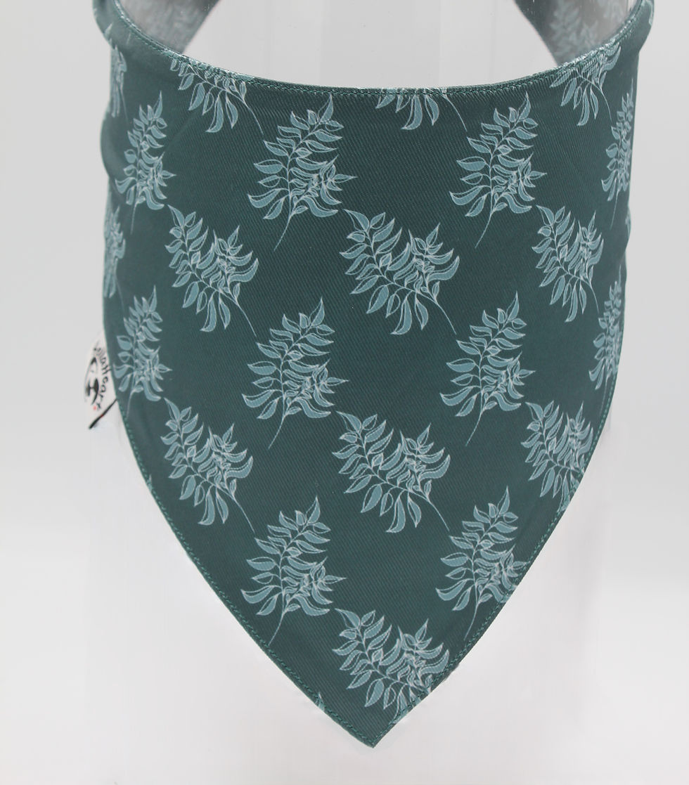 Thumbnail: Dog Bandana