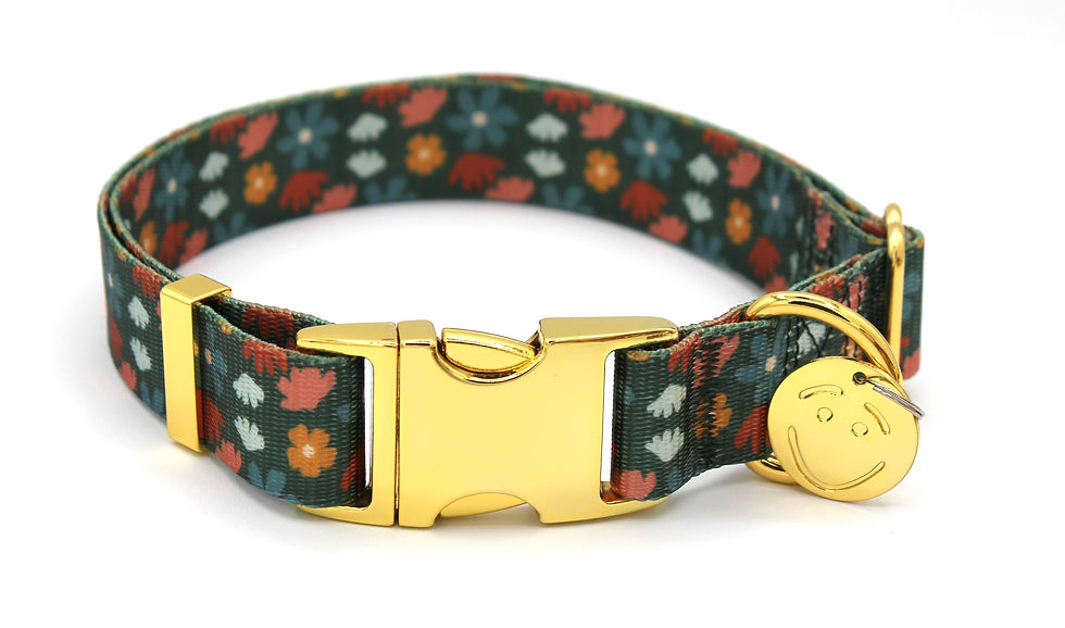 Thumbnail: Dog Collar