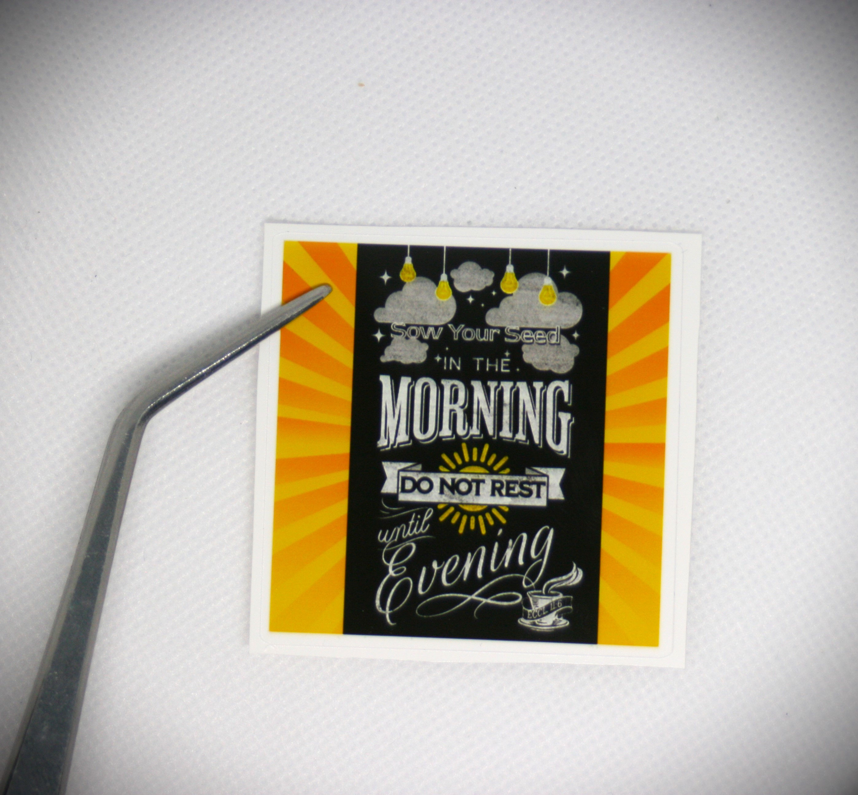 Show Your Seed In The Morning Do Not Rest Until Evening