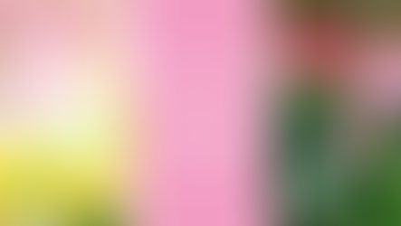 Spring Refresh: 10 Simple Ways to Bring New Life Into Your Home (Without a Full Remodel)