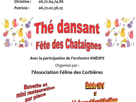 Thé Dansant Le 8 octobre 2022