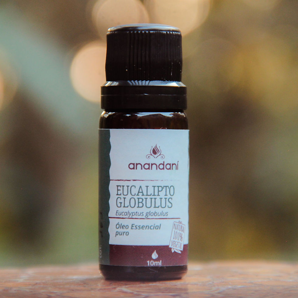 Miniatura: Óleo Essencial de Eucalipto Glóbulos 100% puro - 10 ml