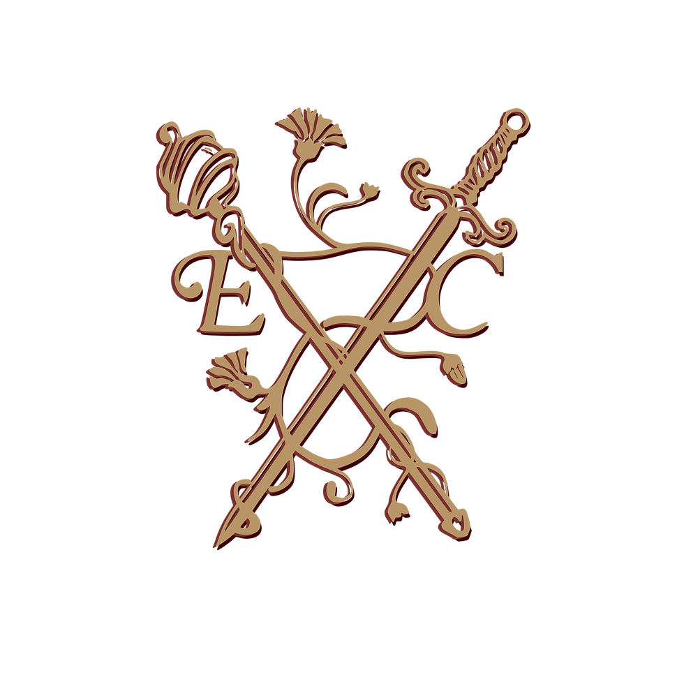 Visual Identity Elisa & Carlos (1).png