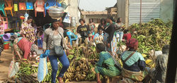 Yaounde MKT Plaintains