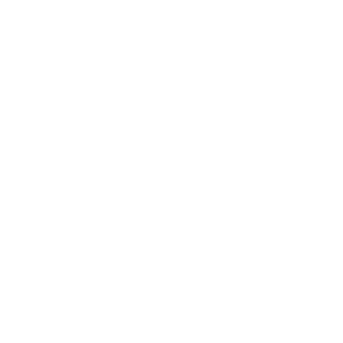 Piracy control Services-31.png