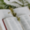 House of Alignment is a Devotional Space where you can begin your spiritual healing to become the greatest version of yourself in your way and time.