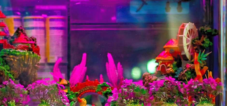 Water Tank_edited.jpg