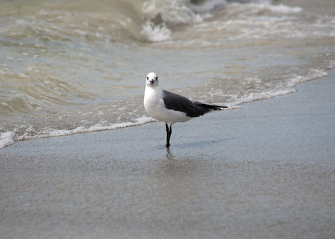 IMG_4061.jpg