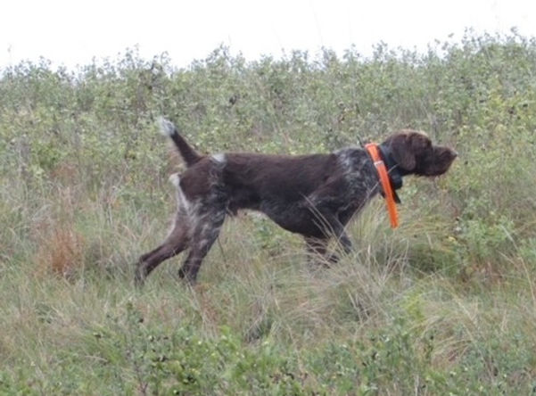 IMG_8084 (2)_edited.jpg