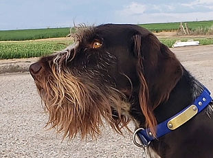 20190527_202015_edited.jpg