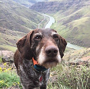 C5991C2D-6534-4199-922C-A23F9B2905E4_edi