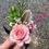 Thumbnail: Prom Boutonniere