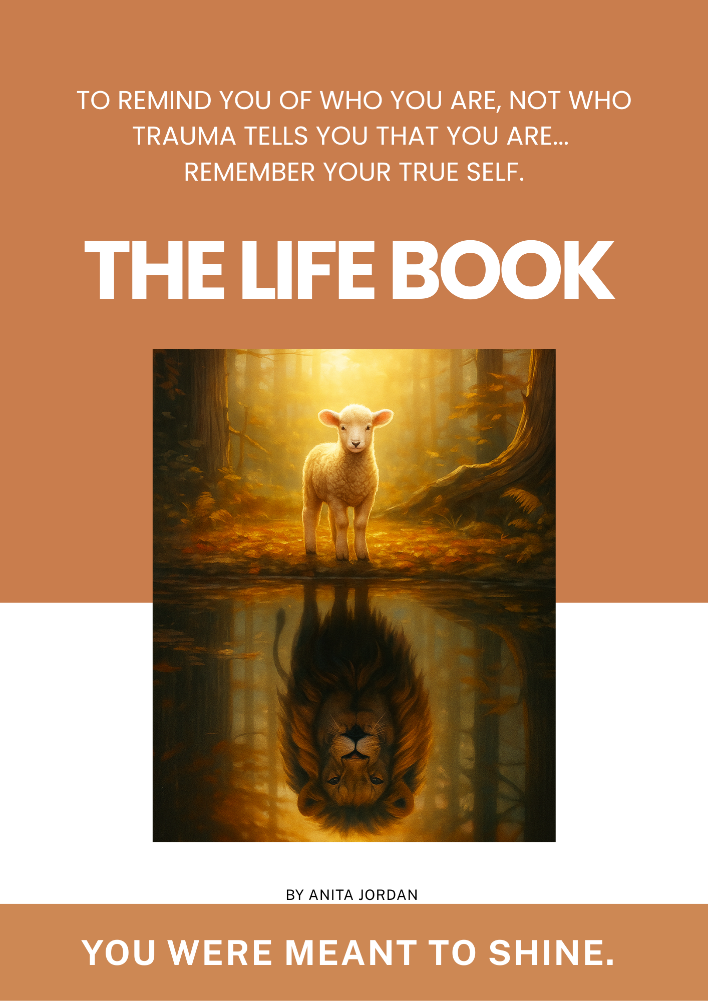 The Life Book