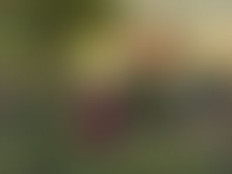 Columbus Syndrome: How Cross-Cultural Training Went Wrong (and What Leaders Should Do Instead)