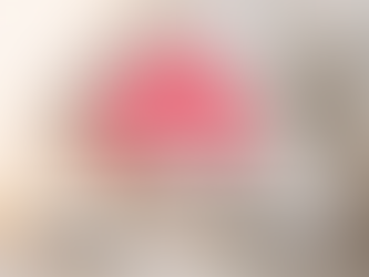 ENLIGHTEN Eclectic Leadership Framework: Timeless Wisdom for Today’s Complex World