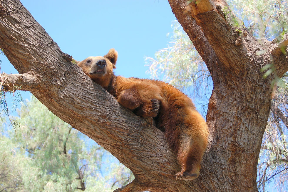 Waking up
