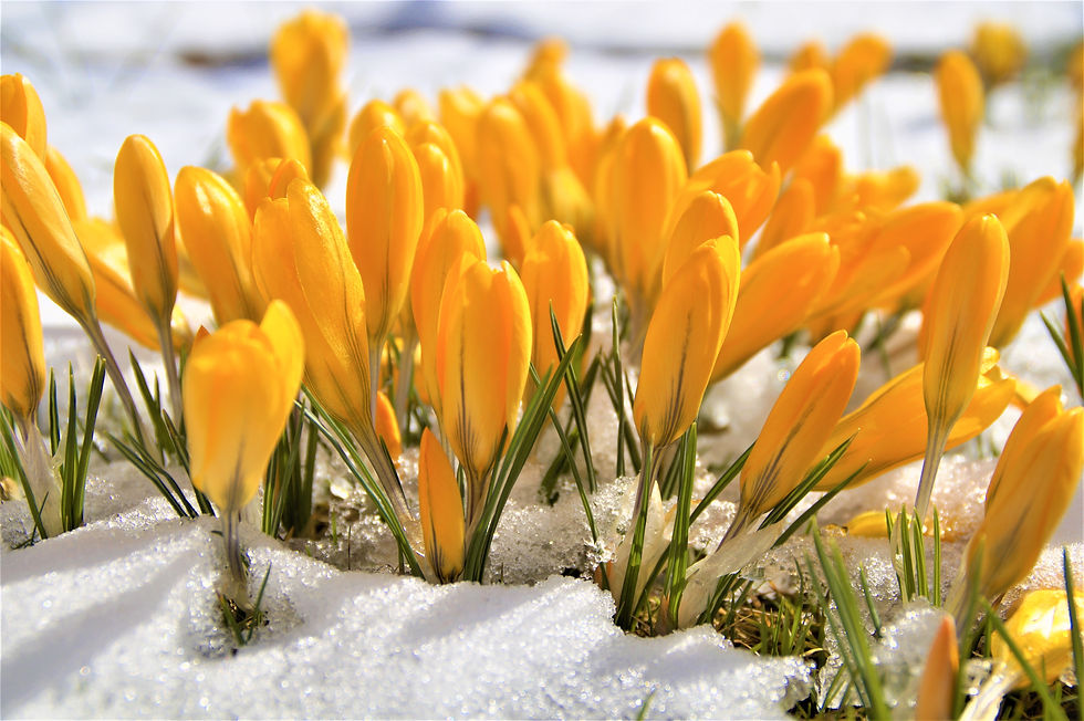 End of snow