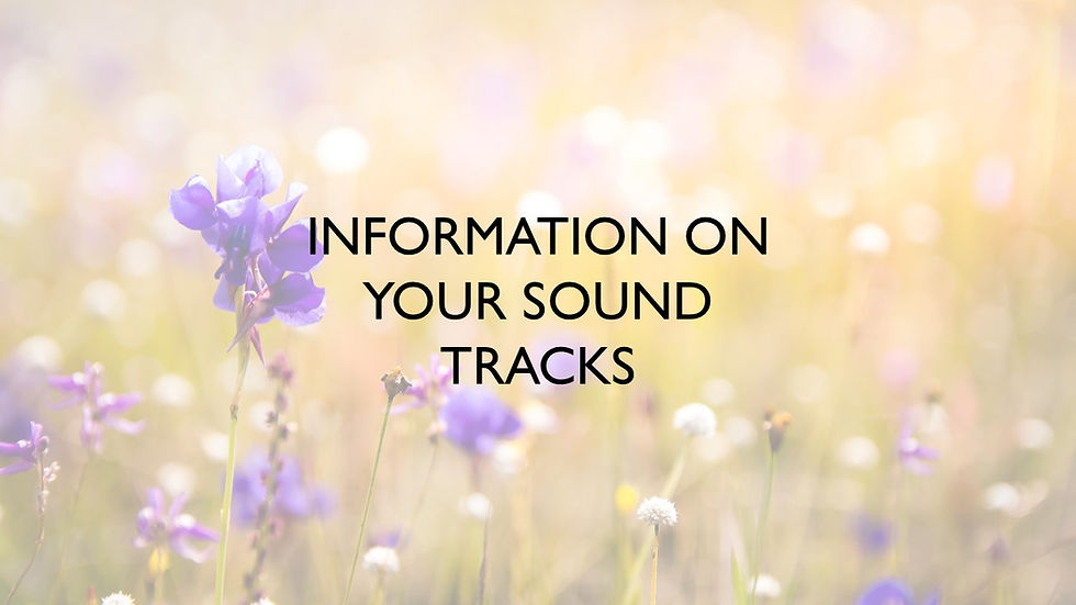 Sound tracks