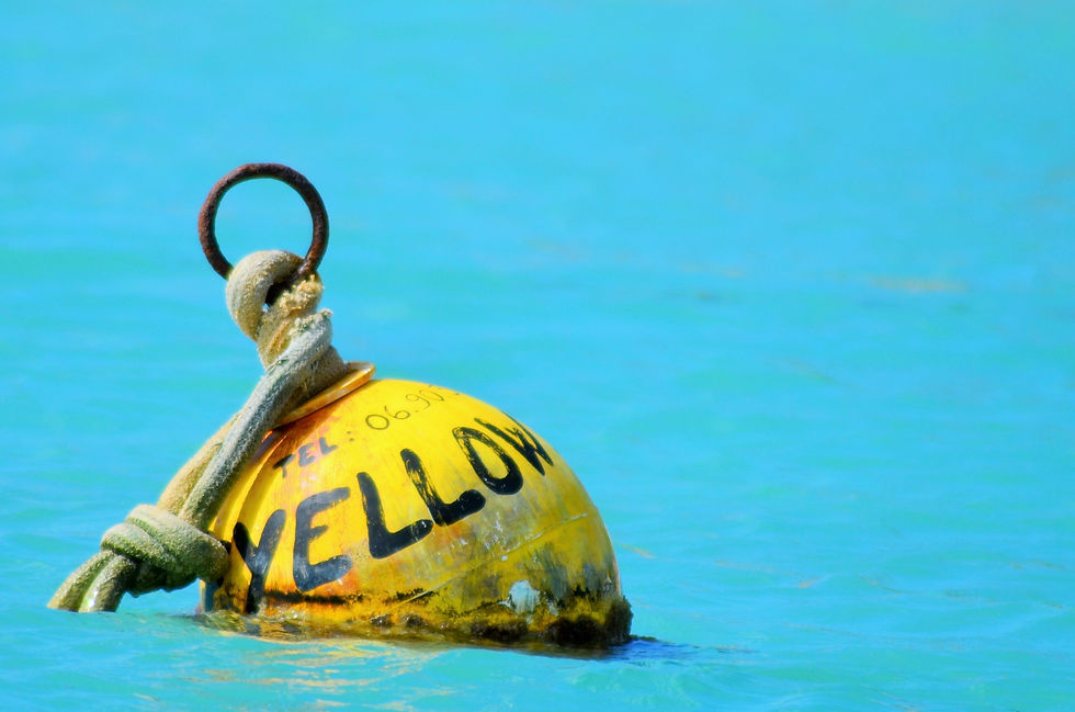 Buoy