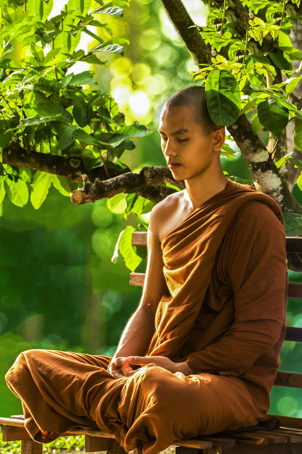 Harmony with the planet