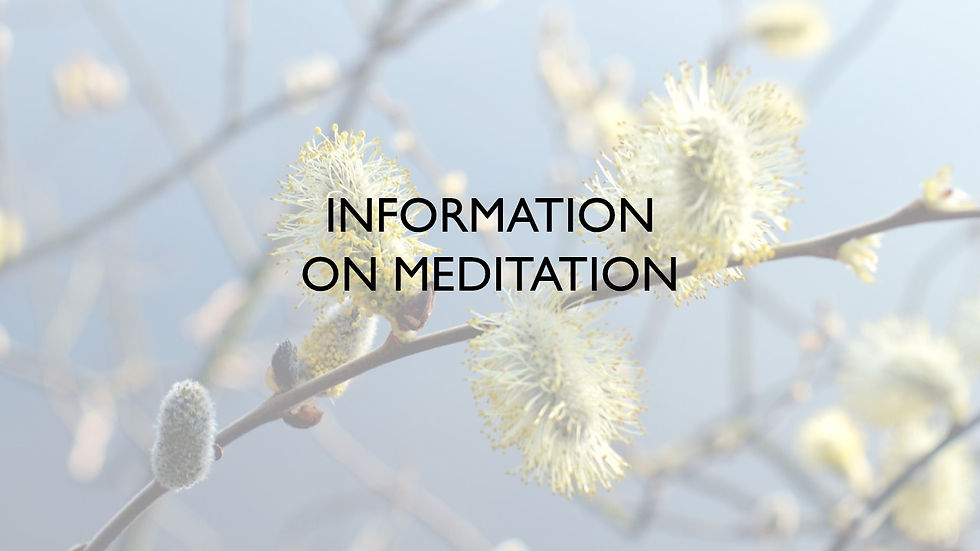 Meditation