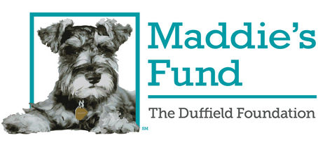 Maddie’s® 30th Anniversary Hero Awards Provide $300K in Grants, #ThanksToMaddie