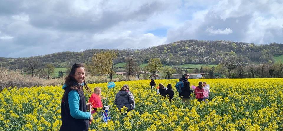 Ferme des delices foréziens,ferme pédagogique,vache,lait,agroécologie,biodiversité,colza,v