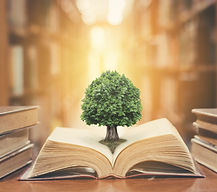 World philosophy day concept with tree of knowledge planting on opening old big book in li
