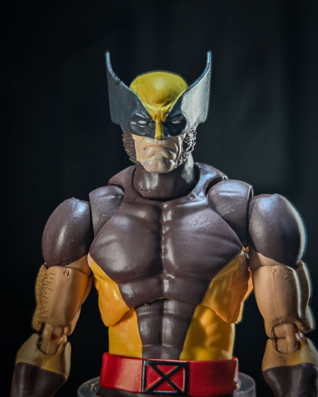 FW169:The Head of Wolverine