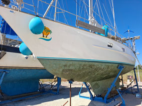 Comprehensive Insurance Condition Survey of a 1992 Feltz Skorpion 2