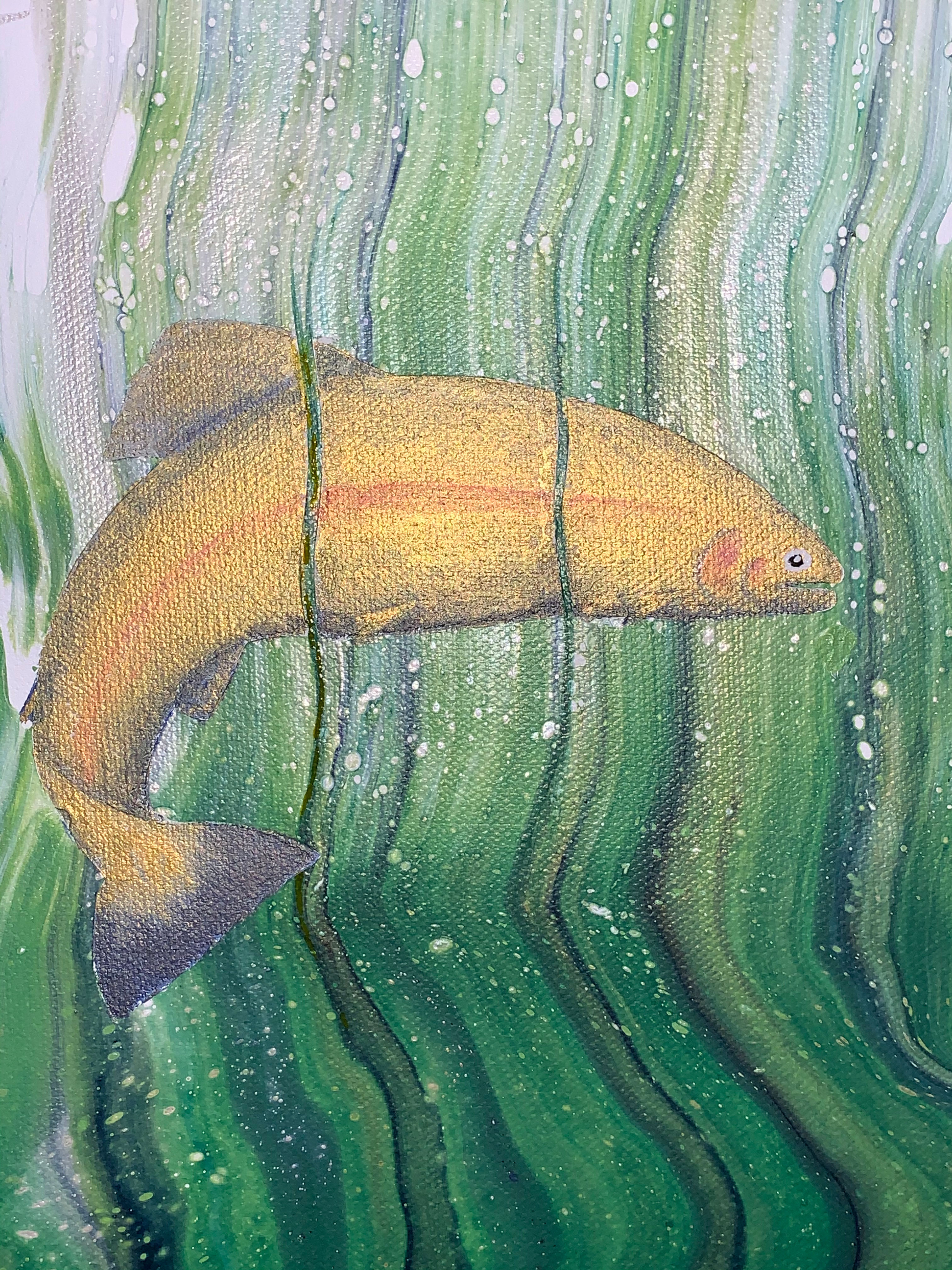 Rainbow Trout