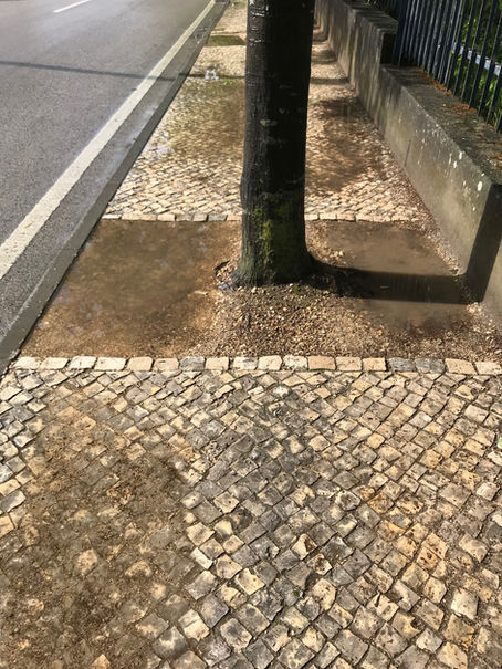 Criar um plano sério de ação pedonal