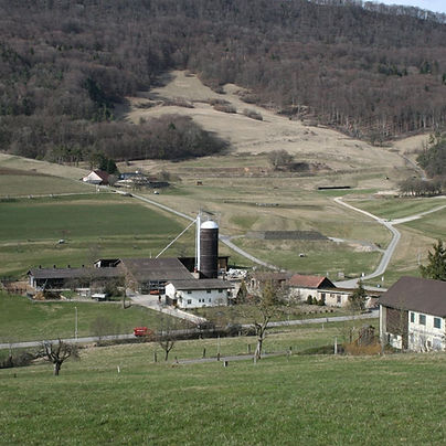 gehren.jpeg
