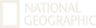 Nat Geo Logo