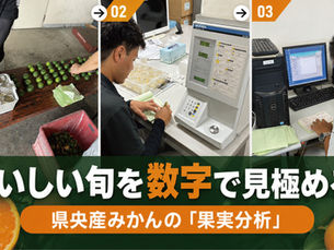 おいしい旬を数字で見極まる