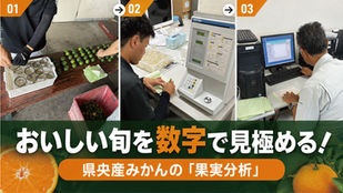おいしい旬を数字で見極まる