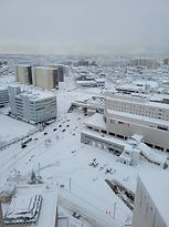 IMG_5293.JPG
