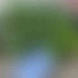 目揃い会の様子その３です