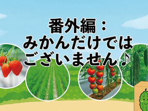 番外編:みかんだけではございません♪