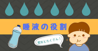 唾液の役割