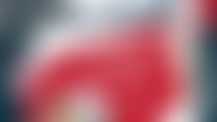 癒しの時間クリスマスはいかがでしょうか?