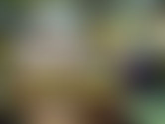 梨の品種「凛夏」収穫まもなく!天敵との攻防