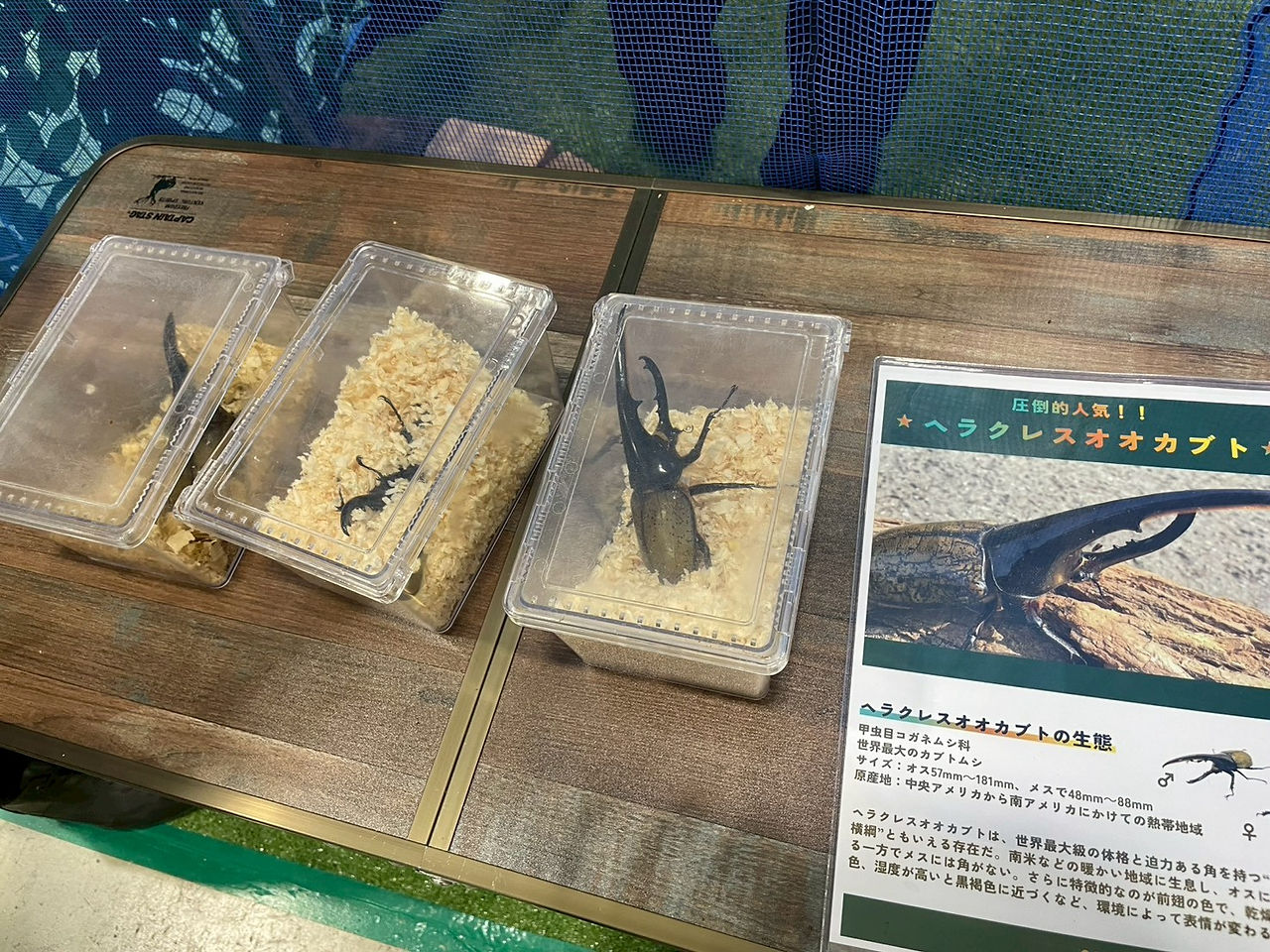 九州農業WEEK視察-６です
