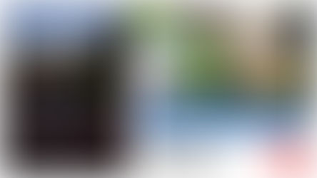 みかん畑の外にも、季節のしごとがあります~部会員の日常から~