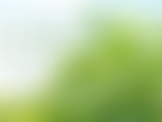 みかんの芽が勢いよく成長しています