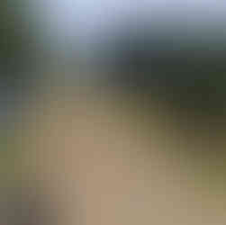 防除試験の様子2です