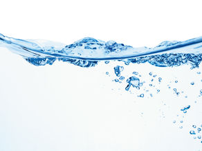 ホームページが新しくなりました。