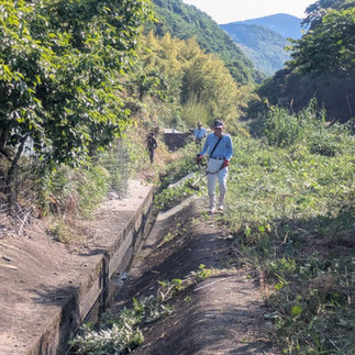 田んぼ水路管理と田植え-1です