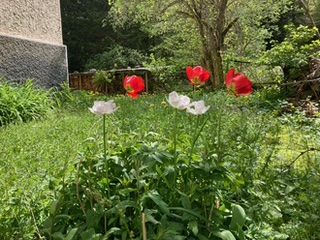 Im Göttlichen zu Hause