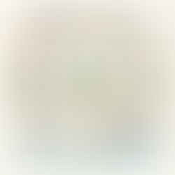 当別町議会2025年12月定例会